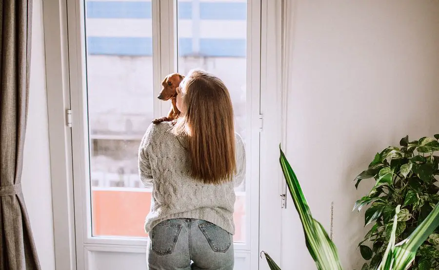 woman holding her dachshund and looking through the window from her apartment