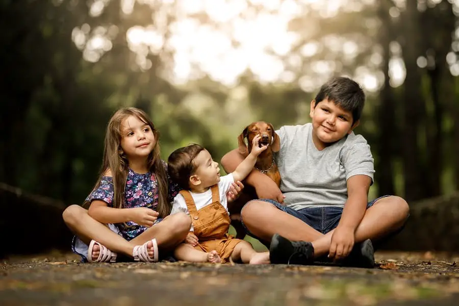 happy dachshunds with kids