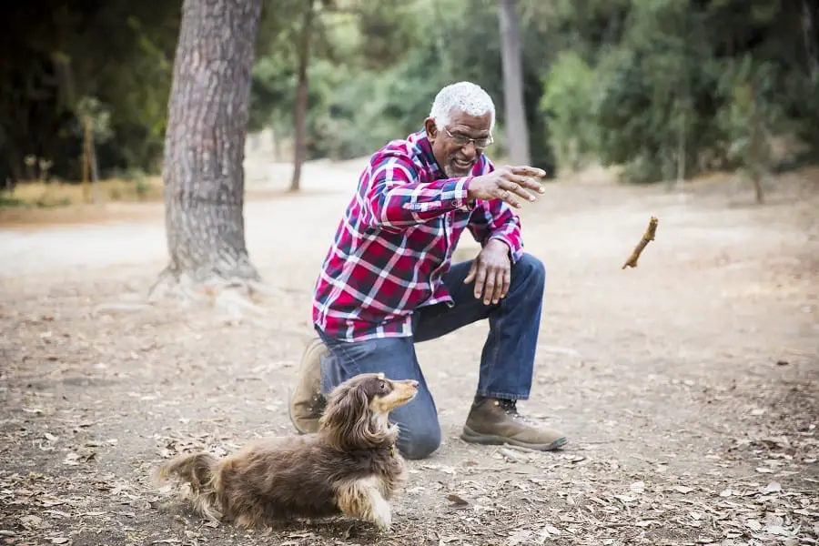 Black Man Playing Fetch with his Dog