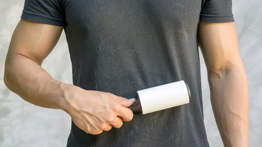 cleaning up dog hair with a hair removal roller