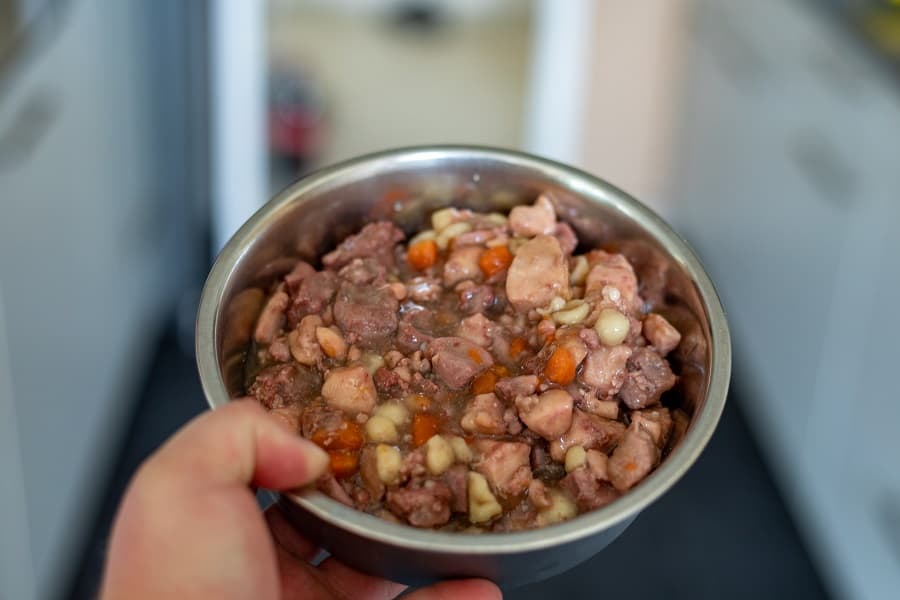 canned food for dogs in silver bowl