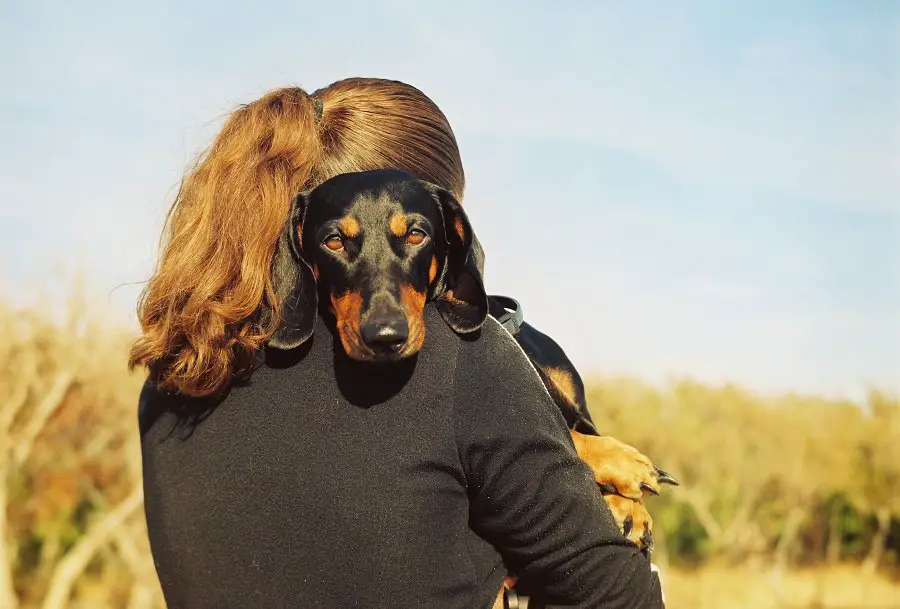 Girl with her beloved dachshund hugging