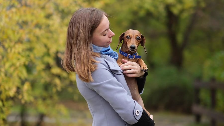 young woman hugs her little dschshund dog