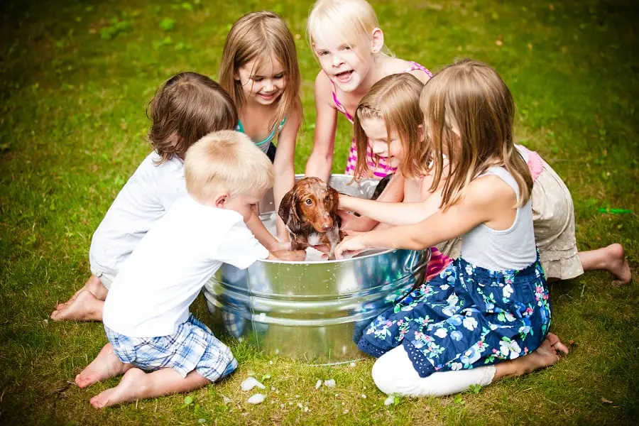 Group of Children Giving Dachshund Puppy a Bath