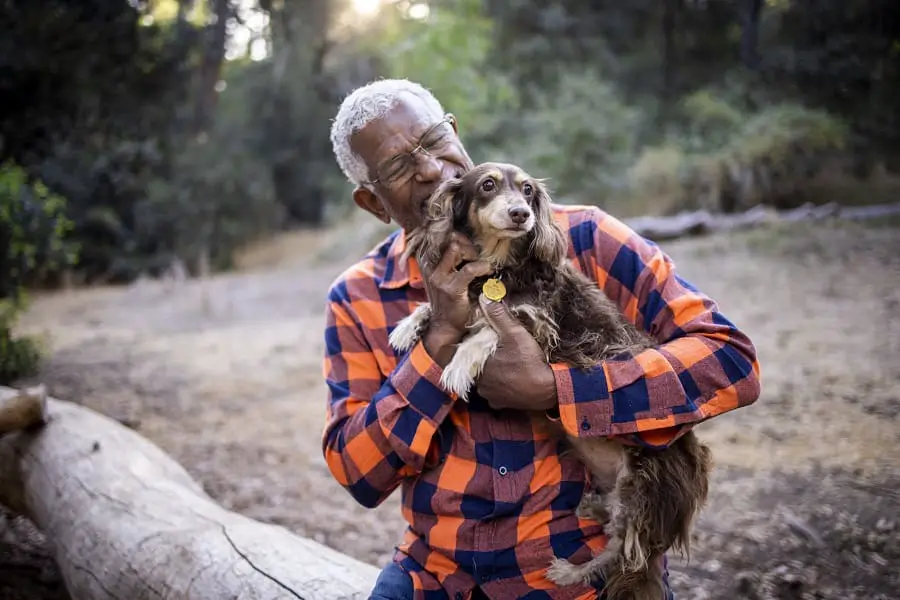 Senior Black Man Praising His Long Haired Dachshund