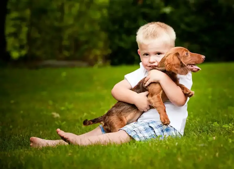 a little boy hugging his dachshund puppy