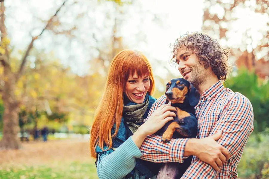 Couple playing with their dachshund