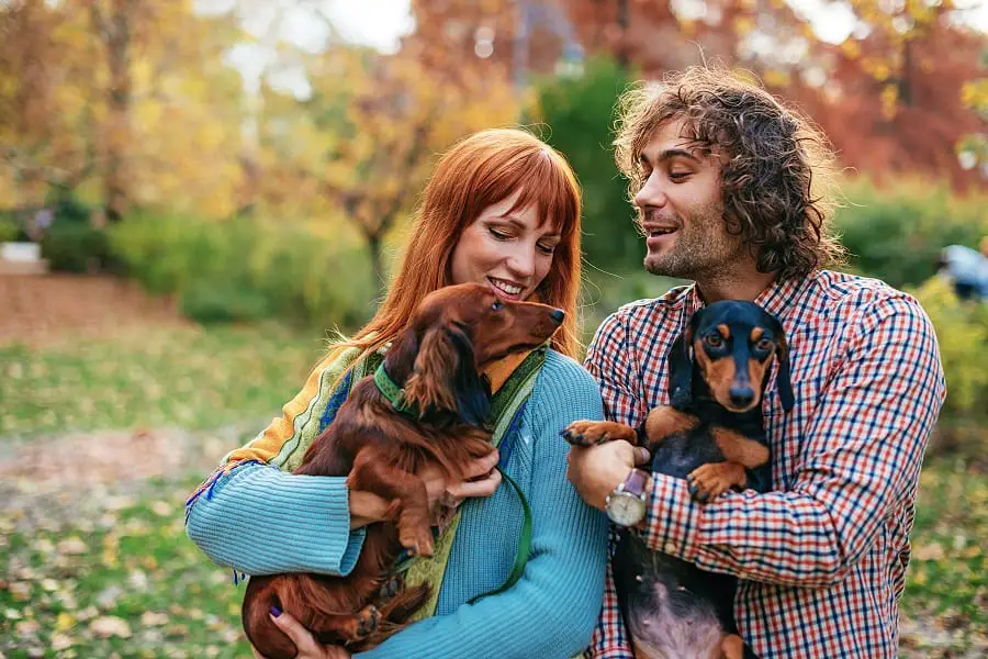 Couple playing with their two dachshund dogs in park