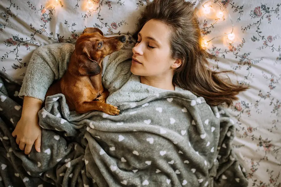 Pretty Young Woman Sleeping With Her Beautiful Dachshund in Bed