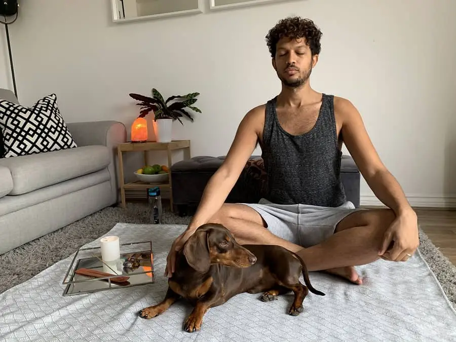 male with his eyes closed meditating with his dachshund dog lay down in front of him 