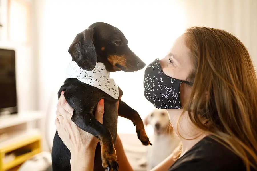 Woman adoring her dachshund dog